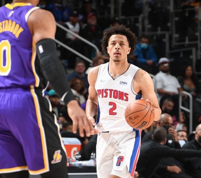 结合不仅提 结合不仅提